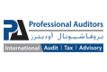 Professional Auditors